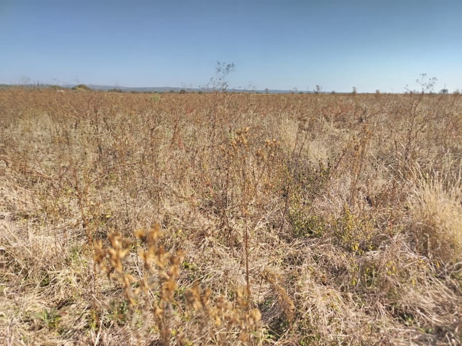 Commercial Property for Sale in Swartruggens North West